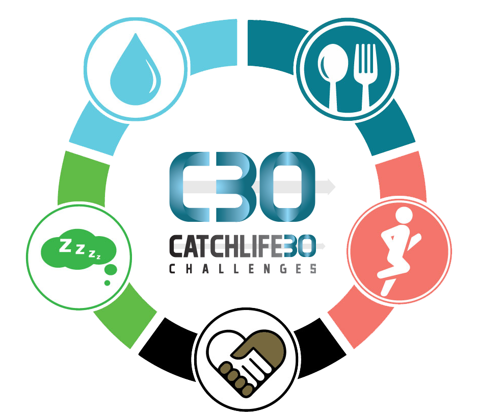 North Scott Lancer School Logo